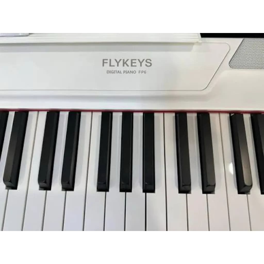 FLYKEYS FP6 PIANO CHUYÊN NGHIỆP - TẶNG FULL PHỤ KIỆN - ảnh 12