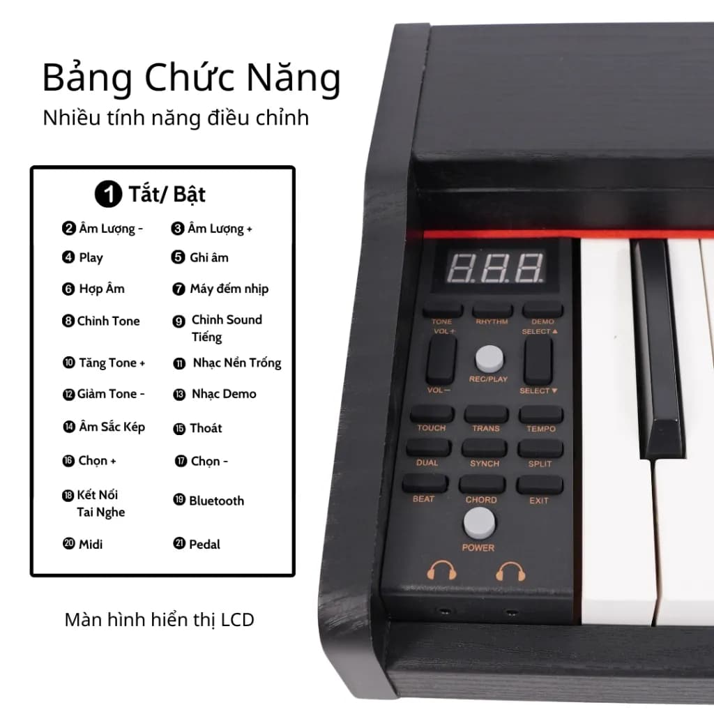 PIANO MASTER C300 - Đàn Piano Điện Dành Cho Người Mới (Mới Nhất 2026) - ảnh 5