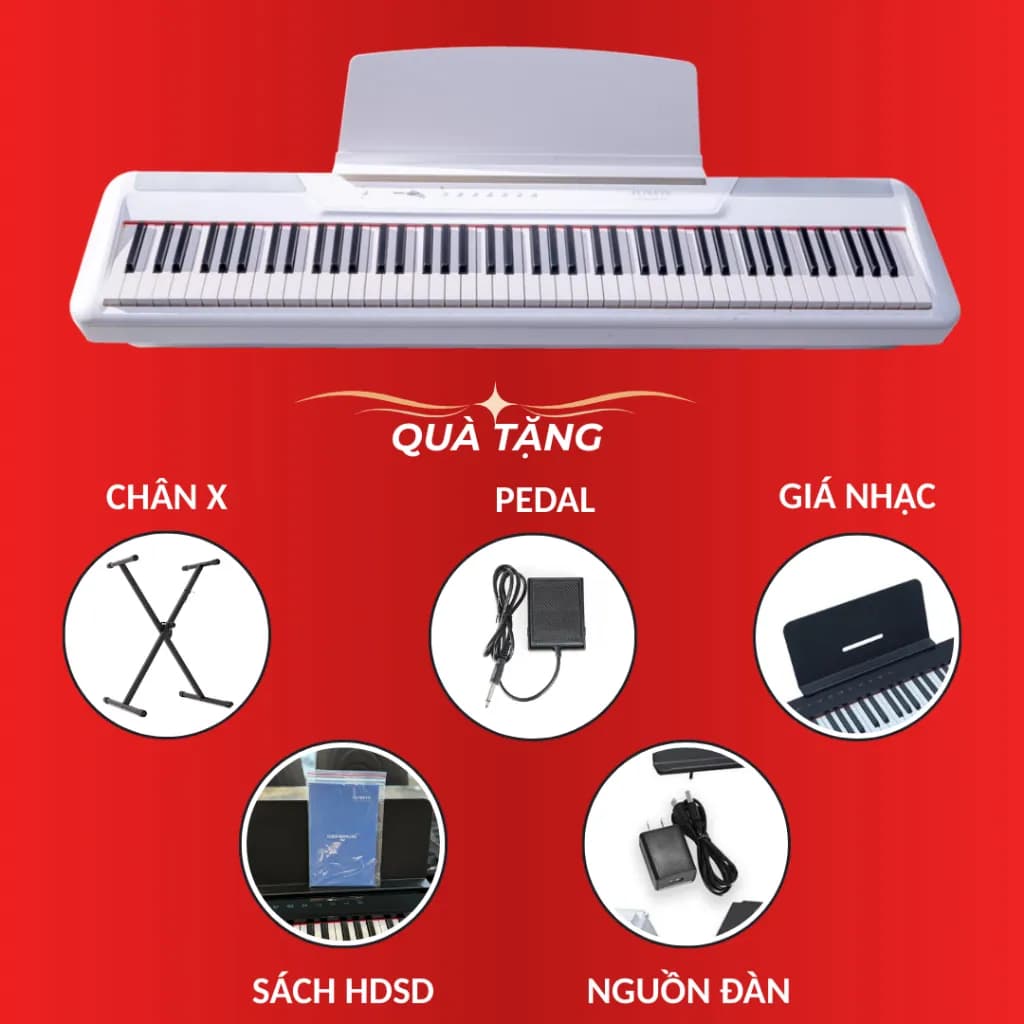 FLYKEYS FP6 PIANO CHUYÊN NGHIỆP - TẶNG FULL PHỤ KIỆN - ảnh 3